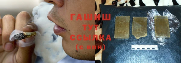 стаф Аркадак