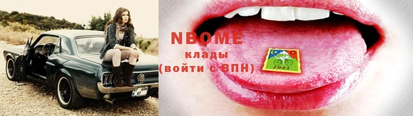 стаф Аркадак