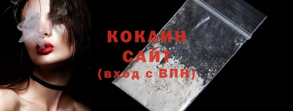 индика Армянск