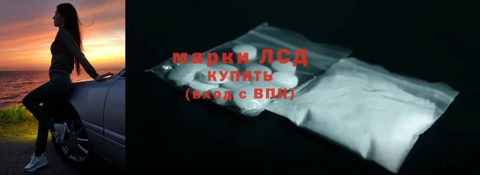 стаф Аркадак