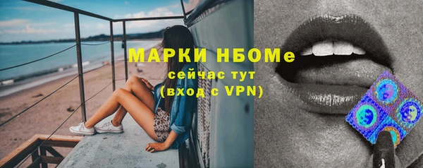 индика Армянск