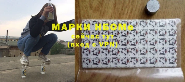 стаф Аркадак