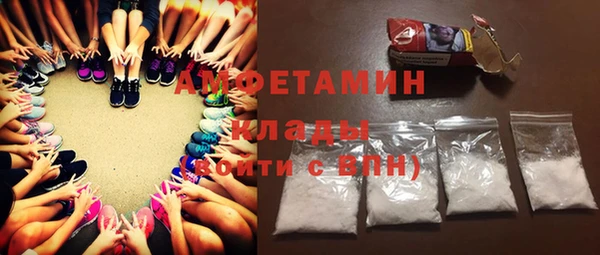 стаф Аркадак