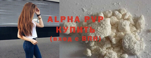 стаф Аркадак